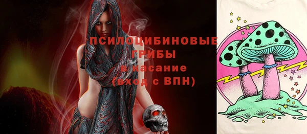 гидра Алексеевка