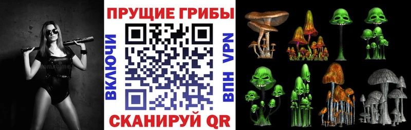 mega онион  Мураши  Галлюциногенные грибы GOLDEN TEACHER 